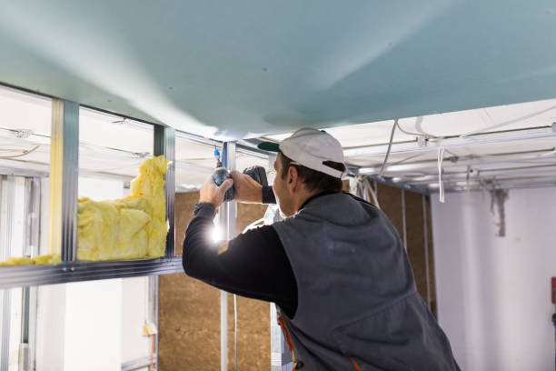 Best Energy Efficiency Solutions in Delavan, IL