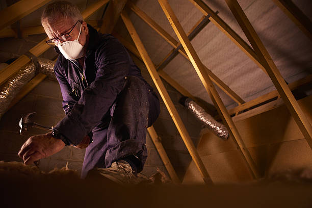 Best Insulation Maintenance and Repair in Delavan, IL